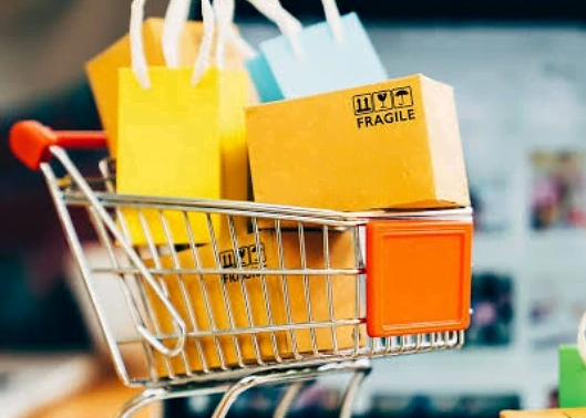 E-Commerce Web Development