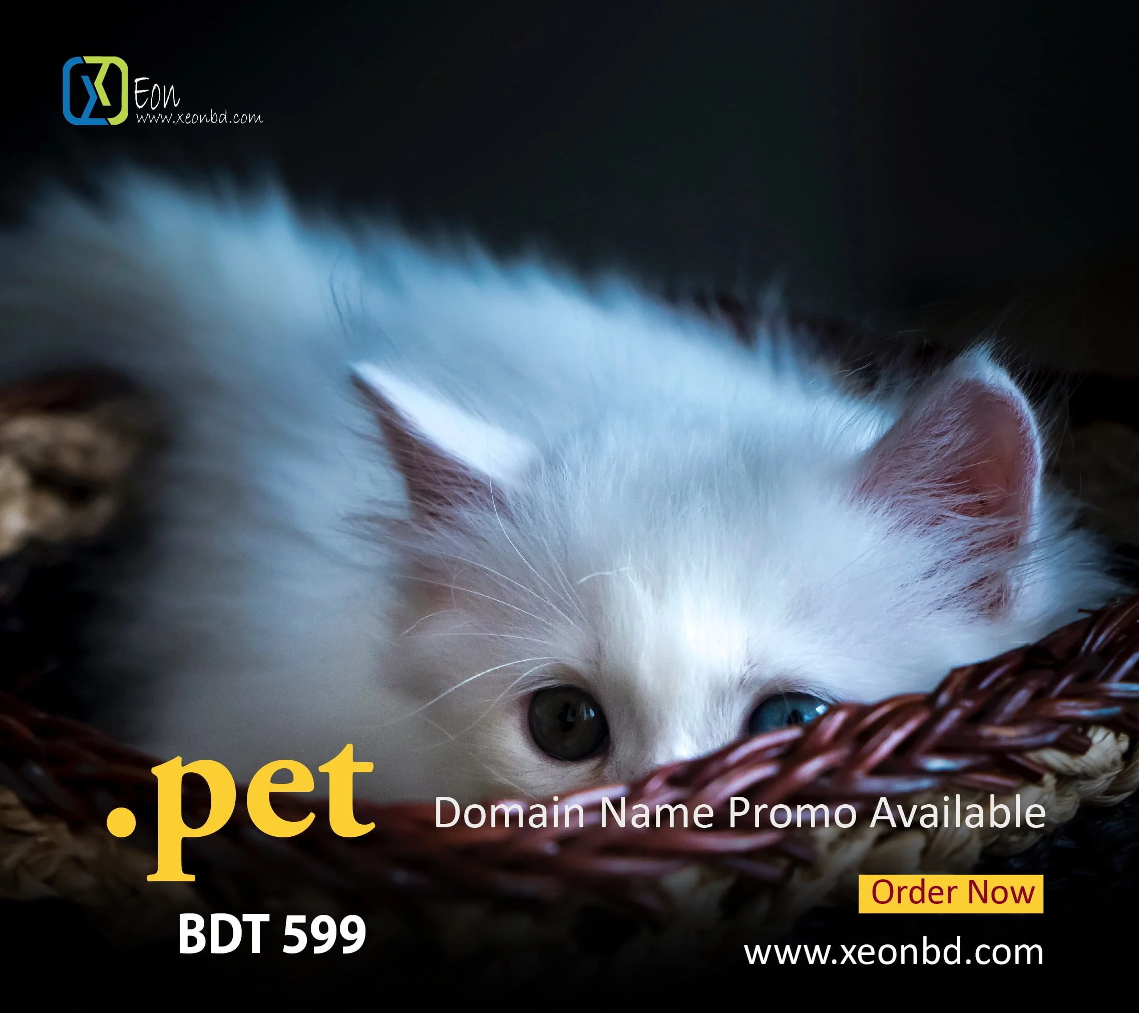 Special Offer: .PET Domain Registration