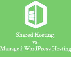 Shared vs Managed WordPress Hosting – The best Managed WP Hosting of Bangladesh