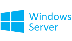 Windows Server Hosting